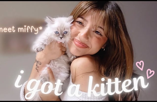 I GOT A KITTEN!!! 🐱 *meet miffy* img