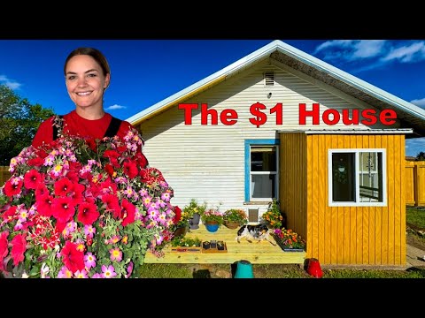 My $1 House: Backyard Glow-Up + Doggy Deck img